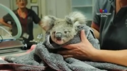 ԲԱՐԻ ԼՈՒՅՍ. Արման Թարջիմանյան՝ սթրեսը եւ քաղաքը