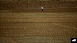 FILE - A farmer prepares the land to plant potatoes at a plantation in Cartago, Costa Rica April 27, 2018