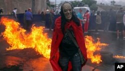 Un manifestante enmascarado protesta delante de una barricada en Tegucigalpa, la capital de Honduras.