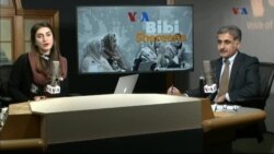 بي بي شیرینه – وي او اې ډيوه په ټیلې ویژن