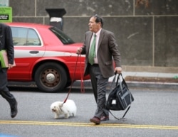 FILE - Randy Credico, an associate of former Trump campaign adviser Roger Stone, walks with his dog as he arrives to testify before the grand jury convened by Special Counsel Robert Mueller at U.S. District in Washington, Sept. 7, 2018.