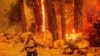 آتش‌سوزی‌های بی‌سابقه کالیفرنیا امسال بیش از ۱.۶ میلیون هکتار از اراضی جنگلی را سوزانده است