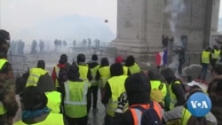 As Street Protests Unite Right and Left, Populists Eye 2019 European Elections