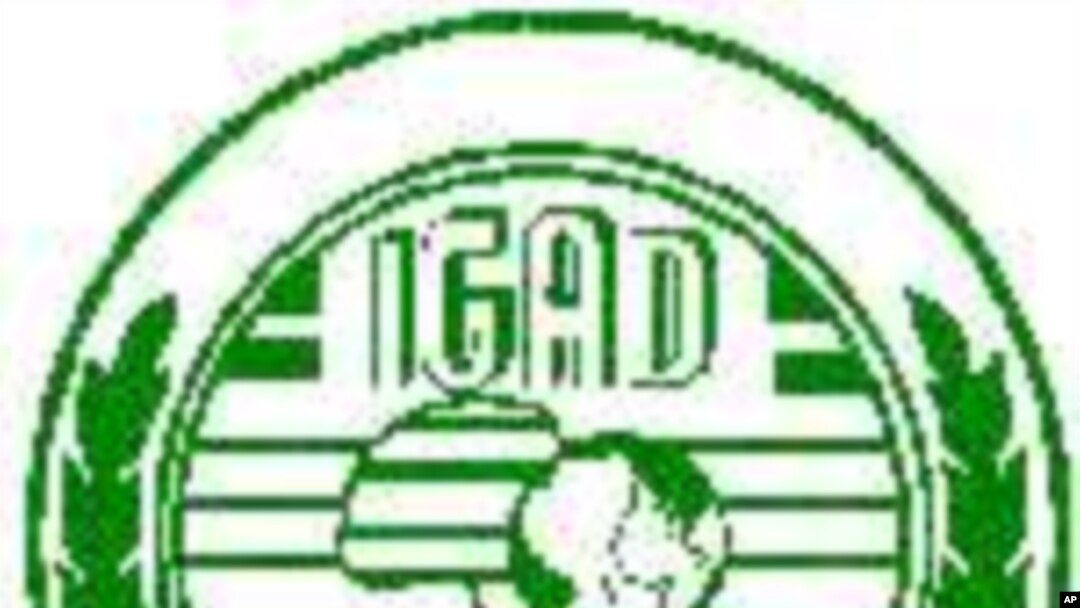 Interview with IGADD Secretary General on Somalia Security