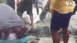 Բրազիլիայի բնակիչները օգնում են յուղից մաքրել լողափերը