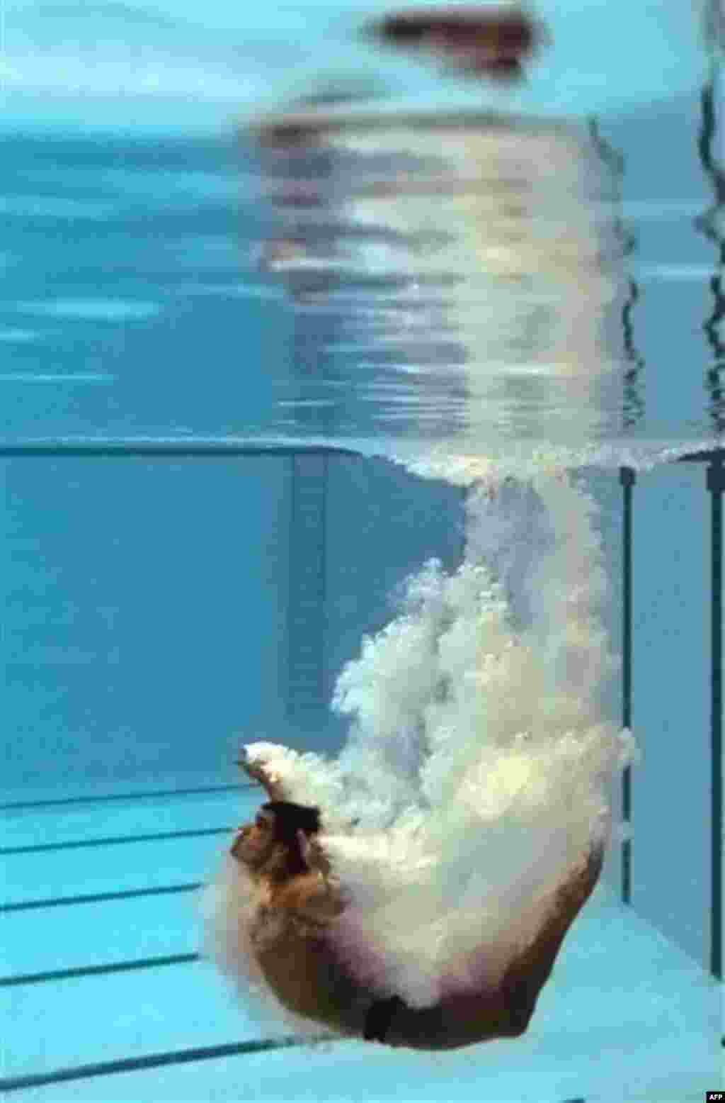 Canada's Alexandre Despatie competes in the men's 3m springboard event during the Commonwealth Games at the Dr. S.P. Mukherjee Aquatics Center in New Delhi, India, Monday, Oct. 11, 2010. (AP Photo/Domenico Stinellis)