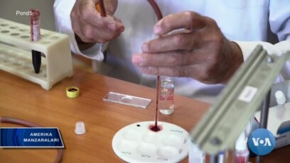 Saratonga qarshi yangi muolajalar