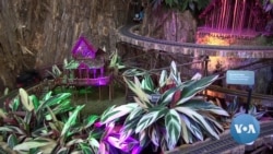 Holiday Exhibit Showcases America’s Spectacular Gardens