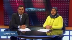 Qubanaha VOA, Dec 31, 2015