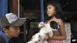 Dokter hewan di desa Kebon Kaja, Kabupaten Bangli, Bali, memberikan suntikan rabies pada anjing. (Photo: AP)