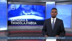 Sayniska iyo Teknolojiyadda