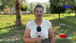 قاآنی و قالیباف در بغداد؛ از پرونده سلاح تا جلوگیری از درگیری با دولت