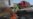 Truckers Strike in Brazil's Agricultural Belt