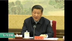 VOA连线(许湘筠)：中共提议修宪取消国家主席任期限制，美学者表示担忧