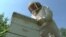 Raising Crops Linked to Declining Bee Population Worldwide
