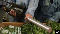 An inspector from Hong Kong's Food and Environmental Hygiene Department demonstrates a screening for radioactive materials in vegetables imported from Japan, at the cargo terminal in Hong Kong International Airport April 8, 2011