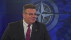 Глава МИД Литвы: НАТО переживает период испытаний на прочность