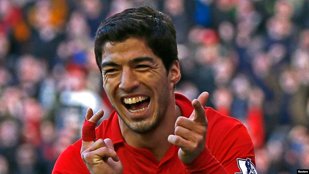 Pemain Liverpool Luis Suarez, yang masih absen karena dilarang bermain dalam 10 pertandingan setelah menggigit kuping lawan. (Foto: Dok)
