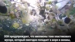 Пластик против океана