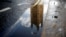 The Houses of Parliament are reflected in a puddle of rainwater in central London, Sept. 24, 2019.