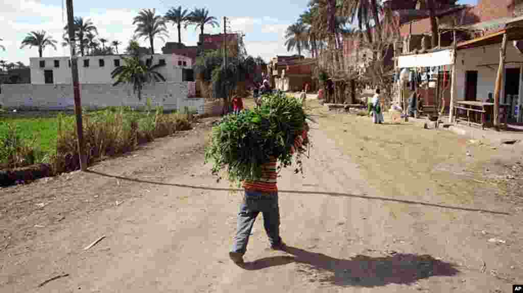 It's not all play. A boy carries crops from a nearby field, Kafr Torky, February 13, 2011 (VOA photo - E. Arrott)