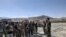 FILE - Afghan commandos arrive to reinforce security forces in Faizabad, capital of Badakhshan province, after the Taliban captured neighborhood districts of Badakhshan recently, July 4, 2021. 