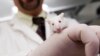  پژوهش امیدبخش برای مبارزه با همه سرطان‌ها: تزریق آزمایشی روی موشها جواب مثبت داد