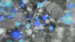 بي بي شیرینه – وي او اې ډيوه په ټیلې ویژن