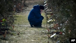 Majka ruskog vojnika koji je poginuo u vojnoj akciji u Ukrajini, kleči kraj zasađenog drveta u znak sjećanja na svog sina u Aleji heroja u Sevastopolju na Krimu, u subotu, 25. februara 2023.