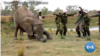 Workers at the Zimbabwe wildlife rescue center Wild is Life are seen outside Harare, Sept. 23, 2020, dancing in the Jerusalema Dance Challenge, a South African internet craze that has gripped the continent. (Columbus Mavhunga/VOA)