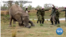 Workers at the Zimbabwe wildlife rescue center Wild is Life are seen outside Harare, Sept. 23, 2020, dancing in the Jerusalema Dance Challenge, a South African internet craze that has gripped the continent. (Columbus Mavhunga/VOA)
