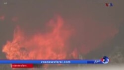 تخلیه برخی مناطق جنوب کالیفرنیا به خاطر شدت آتش سوزی
