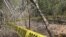 La violencia en México no se detiene, dos periodistas fueron asesinadas.