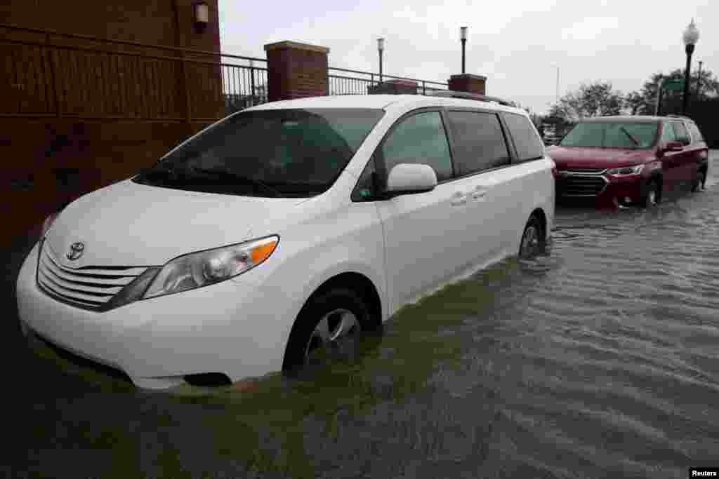 ریاست الاباما کے شہر اورینج بیچ کے میئر ٹونی کینن نے خبر رساں ادارے 'ایسوسی ایٹڈ پریس' کو بتایا کہ اس سمندری طوفان سے اب تک ایک شخص ہلاک ہوا ہے جب کہ ایک اور شخص لاپتا ہے۔ 