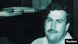 در مصر د ال هتان په دښته کې د نهنګ اډوکي. دا سیمه د&nbsp;فُسیل او د اقلیم د تغیر د موزیم په توګه پیژندل کېږي او د یونسکو له خوا د نړیوالو طبعی میراثونو په حیث ثبت ده.