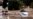 Heavy rains cause flash floods in Spain's south, east