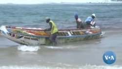 Senegal’s Fishing Sector in Crisis