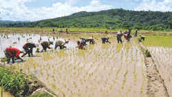 Harbiylar koronavirus qurbonini krematoriyga olib ketmoqda. Nepal.