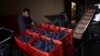 FILE - A worker unpacks boxes of Nebbiolo grapes, used to make Barolo wine, for processing at the Andrea Oberto vineyard in the Langhe countryside, in La Morra, northwestern Italy, on October 9, 2024.