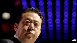 FILE - In this July 4, 2017, photo, Interpol President Meng Hongwei delivers his opening address at the Interpol world congress in Singapore. 