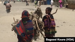 Des adolescents marchent après un âne portant du bois, Bol, Tchad, 1er avril 2016.