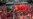 South African Economy Hit by Metalworkers' Strike