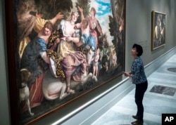 Seorang pengunjung melihat lukisan 'The Rape of Europa'' karya Paolo Caliari, yang dikenal sebagai Paolo Veronese (foto: AP).