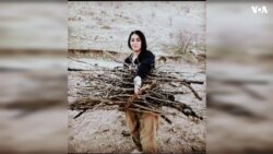 Arrived and not arrived 