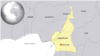 Suspected Boko Haram Militants Kill 15 in Cameroon