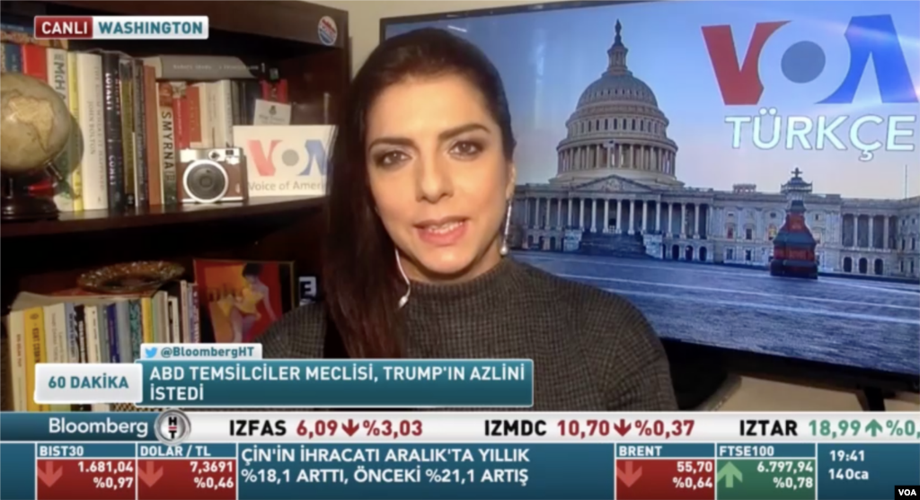 Dilge Timoçin - Virginia