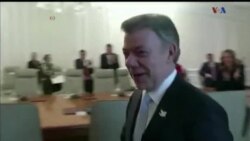 اخبار شامگاهی