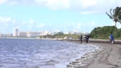 Diplomats Pick Up Trash at a Miami Beach