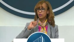 “አንድ አሸባሪ ቡድን ለሕጋዊ መንግሥት የተኩስ አቁም ቅድመ ሁኔታ ሊያቀርብ አይችልም”- ቢል ለኔ ስዩም