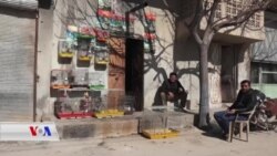 Kurdekî ji Kobanê Jîyana Xee bi Hezkirina Heywanan Diborîne